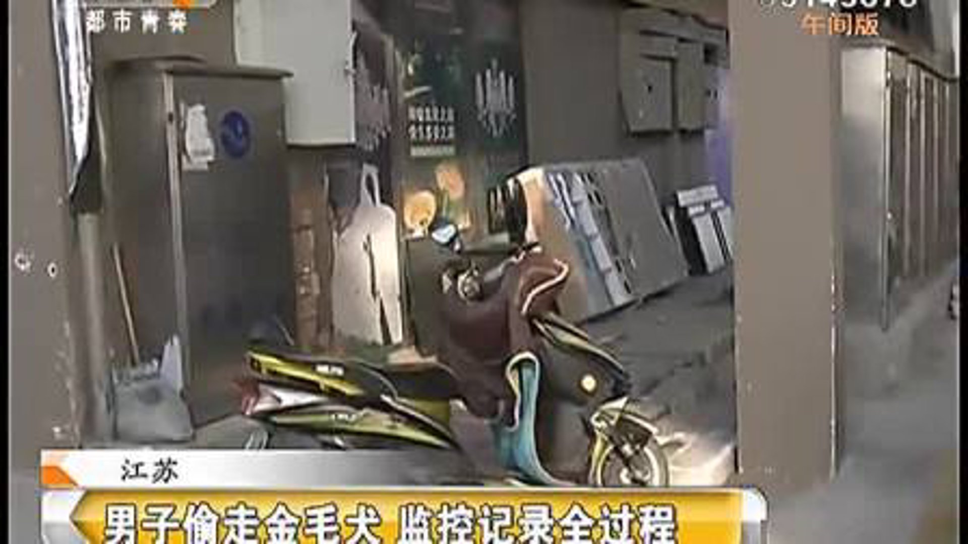 青安监控